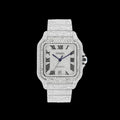 Moissanite Watch